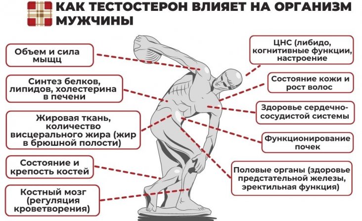 Чем опасен низкий уровень тестостерона у мужчины?