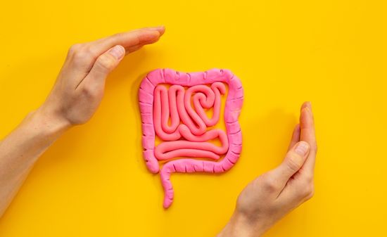 Сапрофитная микрофлора